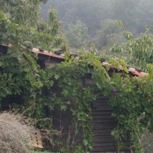 El Rincón De Los Cerezos, Берзокана — фото 2