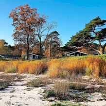 Seaside Escape in Snogebaek - By Traum Ferienwohnungen, 内克瑟 — 照片 3