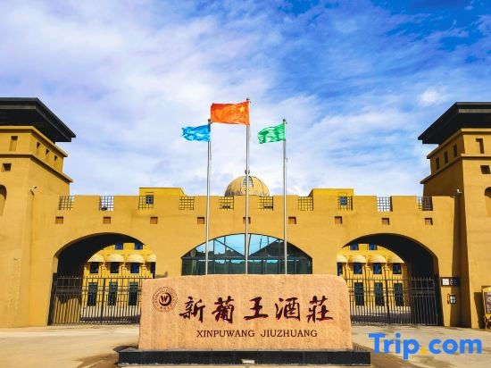 Shanshan New Portuguese Wine House, Turpan — photo 1