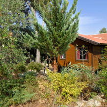 Tree House Chalets Shale, 克法尔弗拉迪姆 — 照片 4
