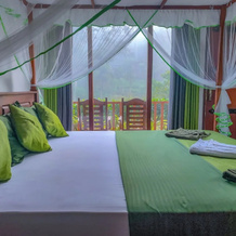 Rain Forest Vibe Sinharaja, Poddana — photo 3