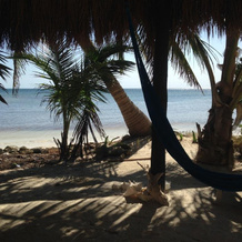 Balamku Inn on the Beach, 马哈瓦尔 — 照片 5