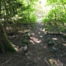 Mt. Baker Lodging Cabin 17 (Sleeps 8), Glacier — photo 5