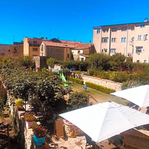 Delizie Tra I Campanili, Gioi — photo 2