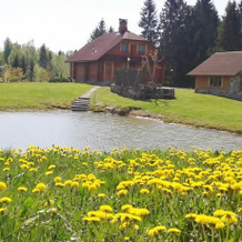 Lielie Kupri, Цесвайне — фото 3