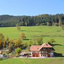 Farmhouse Escape in Hofstetten, Hofstetten — photo 2