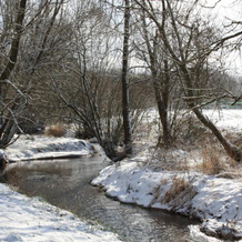 Le Clos Pré, Ла-Вуавр — фото 5