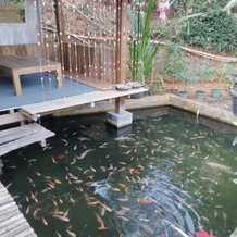 Homestay Banyumili, 赫尔博萨里 — 照片 5