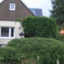 Ferienhaus Sperlingsruh, 罗森巴赫-福格特兰 — 照片 5