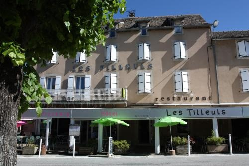 Hôtel Les Tilleuls de Pareloup, 萨勒屈朗 — 照片 1