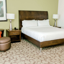 Hilton Garden Inn Pascagoula, Паскагула — фото 4