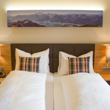 Hotel-Gasthof Beim Böckhiasl, Нойкирхен-ан-дер-Вёкла — фото 4