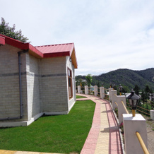 Village Live In Resort Chail, Chail — photo 5