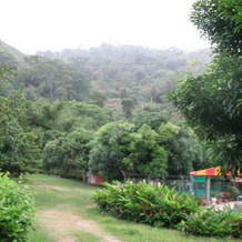 Hostel Finca La Gordita, 科利纳斯德卡拉巴佐 — 照片 5