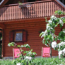 Agriturismo Bosco Di Museis, 切尔琴托 — 照片 4