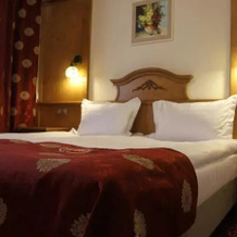 Hotel Sf. Petru, Петрошани — фото 4