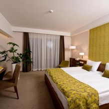 Imola Hotel Platán, Eger — photo 3