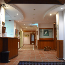 Hotel SNO Edelweiss, 贝纳斯克 — 照片 2