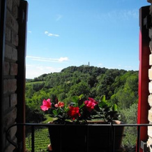 Agriturismo Althea, 维托里奥威尼托 — 照片 3