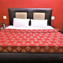 Hotel Shailraj, 纳瓜延 — 照片 4