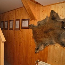 Guest House U Supa, Deštné v Orlických horách — photo 4