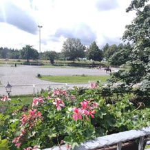 Familienresort Wiesenhof, 马克斯采尔 — 照片 5