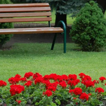 Pálmajor Pihenöpark és Rendezvényközpont, Gardony — photo 5