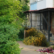 Hotel Set Gostinits "domashniy Ochag", Osa — photo 3