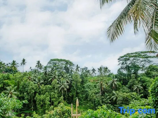 Villa Cella Bella : Jewel Suite ( Bali instaworthy villa ), 克梅努 — 照片 1