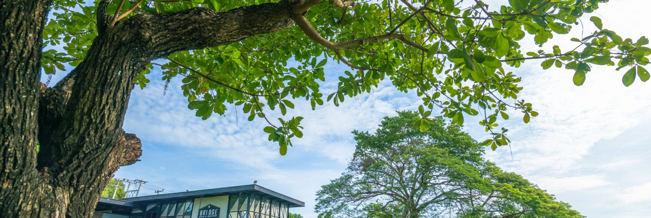 The Xcape River Kwai Resort, 北碧府 — 照片 1
