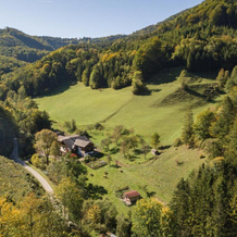 Urlaub mitten im Wald - Lueg, 维瑟尔堡地区 — 照片 5