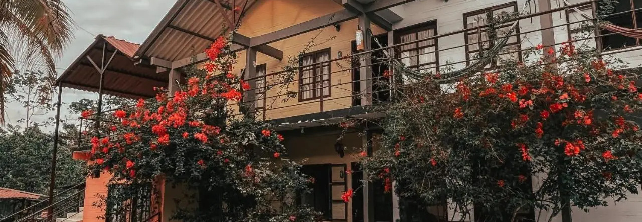 New Western, 阿卡西亚斯 — 照片 1