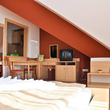 Wellness Apartmanok, Hajduszoboszlo — photo 3