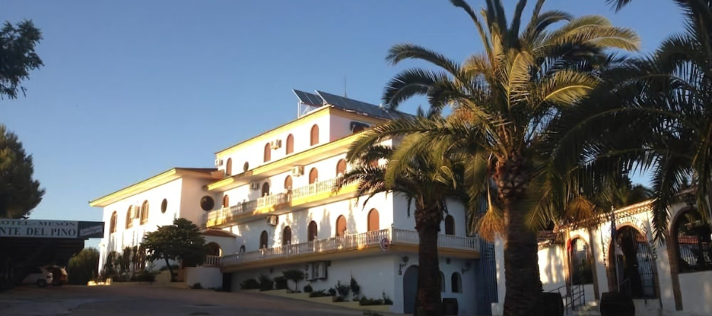 Hotel Meson Fuente del Pino, 奥尔韦拉 — 照片 1