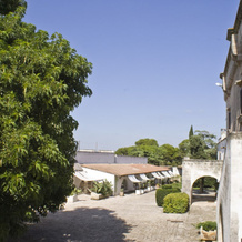 Masseria Salento '500, 纳尔多 — 照片 3