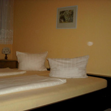 Gasthaus zum Ritter, Karlsdorf-Neuthard — photo 2
