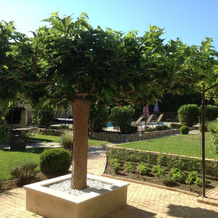 B&B Côté Lavande, Кресте — фото 5