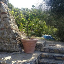 B&B Oca Nera Lerici, Arcola — photo 2