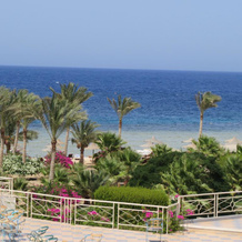 Royal Brayka Beach Resort, Марса Алам — фото 4