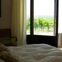 Domaine De La Garance, Расто — фото 2