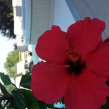 Alsogno, San Clemente — photo 4