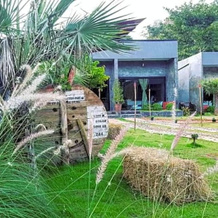 Keeree Loft Resort, 通帕蓬 — 照片 3