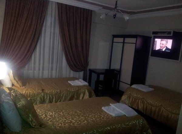 Hotel Mete, 埃尔津詹 — 照片 1
