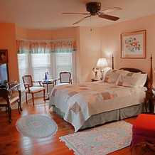Springfield House B&B, Болсбург — фото 3