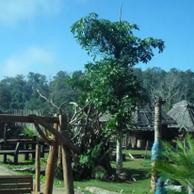 Baan Chonpao Camping And Resort, Панг Мапха — фото 5