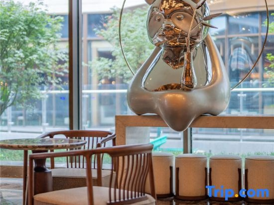 Tianfu Joyhub Air Hotel, Ziyang — photo 1