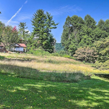 'Momma Rhodes' Rustic Blue Ridge Cabin On 4 Acres, Арден — фото 2