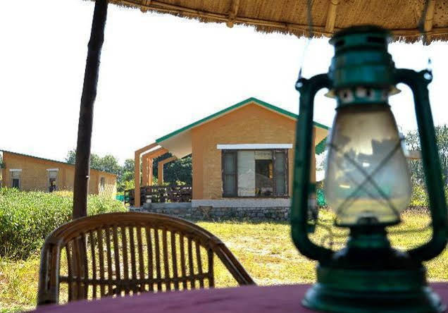 The Wild Rendezvous Hotel, 迪马岭 — 照片 1