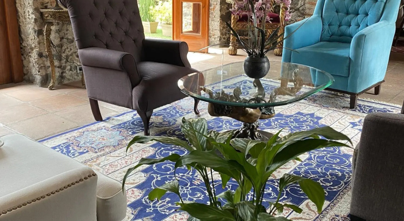 Hacienda Santo Cristo Hotel & Spa - Adults Only, 阿特利斯科 — 照片 1