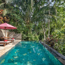 Ayung Resort Ubud, Ubud — photo 4